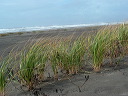 img_2005_2604