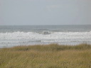 img_2005_2607