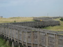 img_2005_2608