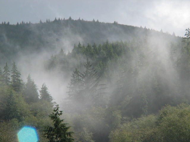 img_2005_2592.jpg