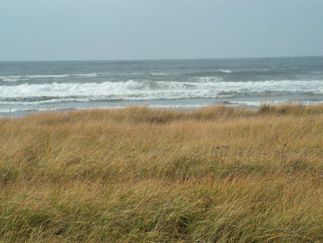 img_2005_2601.jpg
