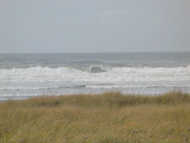 img_2005_2607.jpg