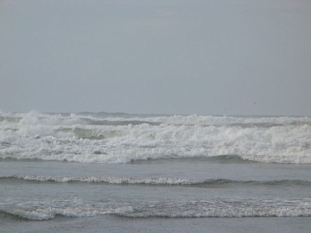 img_2005_2611.jpg