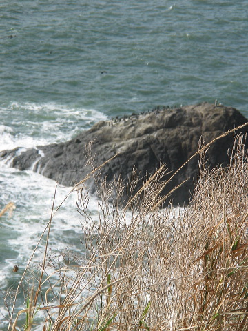 img_2005_2633.jpg