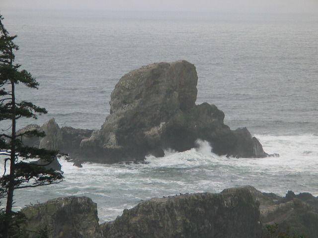 img_2005_2691.jpg