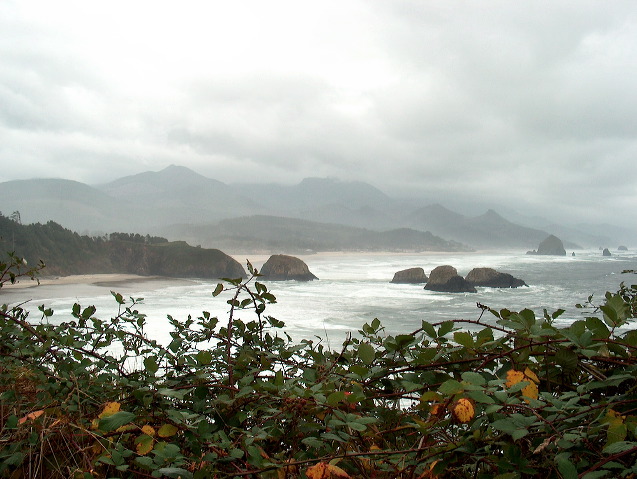 img_2005_2706.jpg