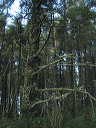img_2005_2771