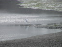 img_2005_2819