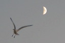 img_2005_2872