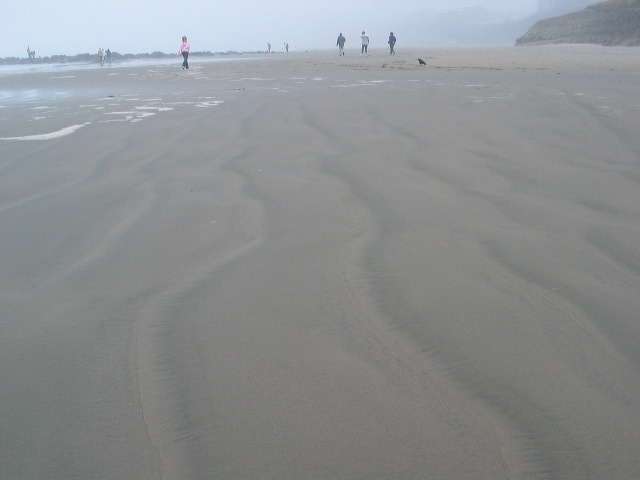 img_2005_2733.jpg