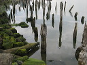img_2005_2912