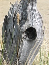 img_2005_2946