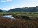 img_2005_2980