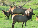img_2005_2988