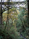 img_2005_3031