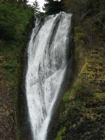 img_2005_3098.jpg