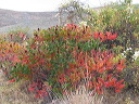 img_2005_3152