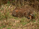 img_2005_3214