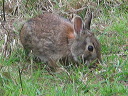 img_2005_3220