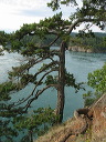 img_2005_3230
