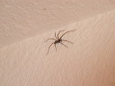 img_2005_3311