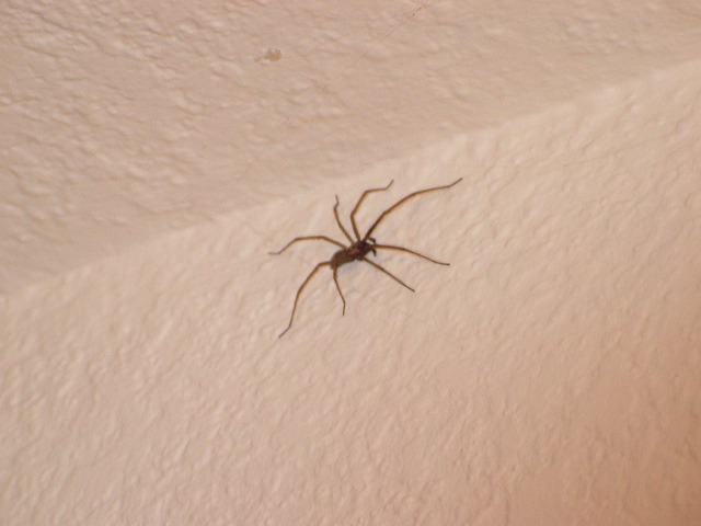 img_2005_3311.jpg