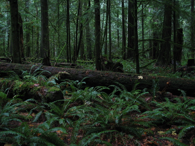 img_2005_3378.jpg