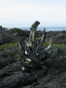 img_2005_3468