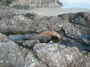 img_2005_3469
