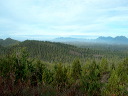 img_2005_3478