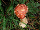 img_2005_3497