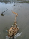 img_2005_3512