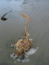 img_2005_3513