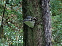 img_2005_3541