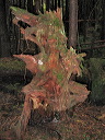 img_2005_3556