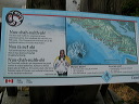 img_2005_3562