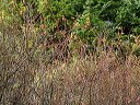 img_2005_3569