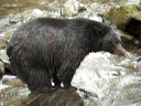 img_2005_3574