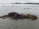 img_2005_3604
