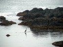 img_2005_3630