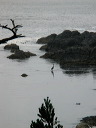 img_2005_3637