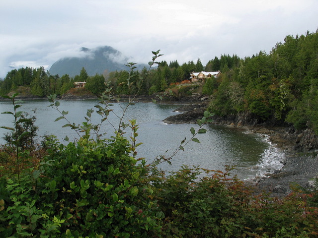 img_2005_3397.jpg