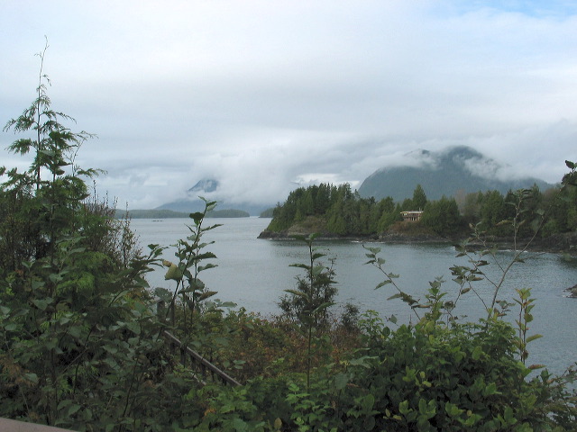img_2005_3398.jpg