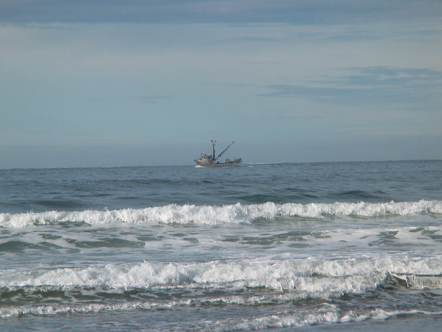 img_2005_3451.jpg