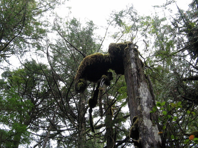 img_2005_3555.jpg