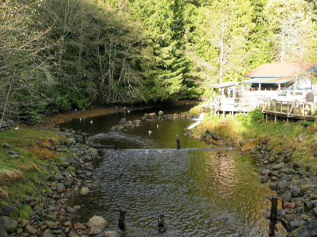 img_2005_3600.jpg