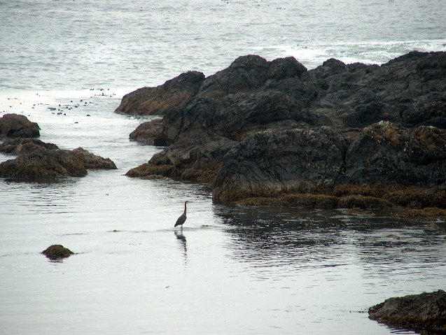 img_2005_3630.jpg