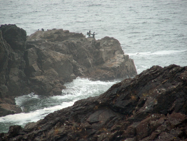 img_2005_3634.jpg