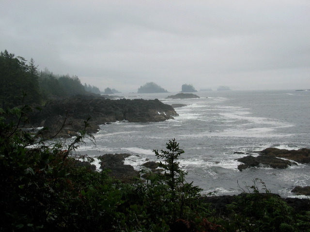 img_2005_3643.jpg