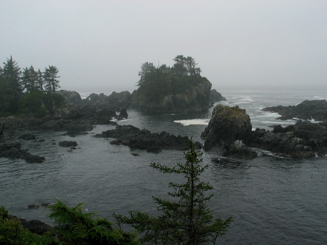 img_2005_3650.jpg